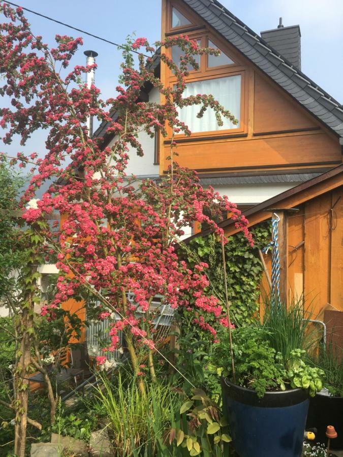 Apartmán Ahle Uhl Honningen  Exteriér fotografie